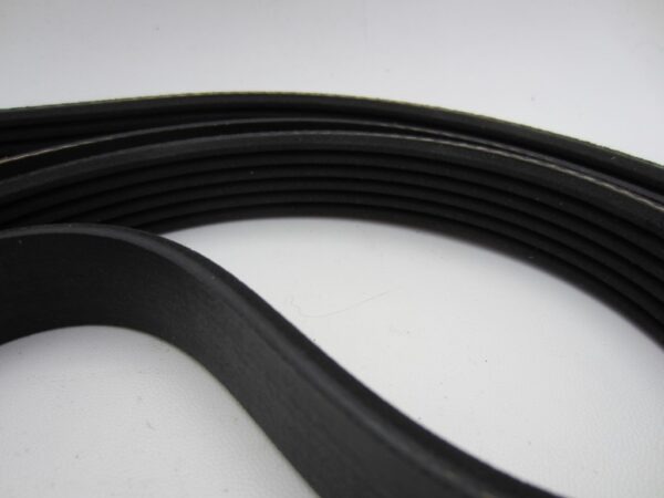 Riem Lancia Zeta Fiat Ulyssee - Afbeelding 3
